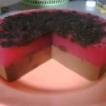 Puding-Fanta-125x125
